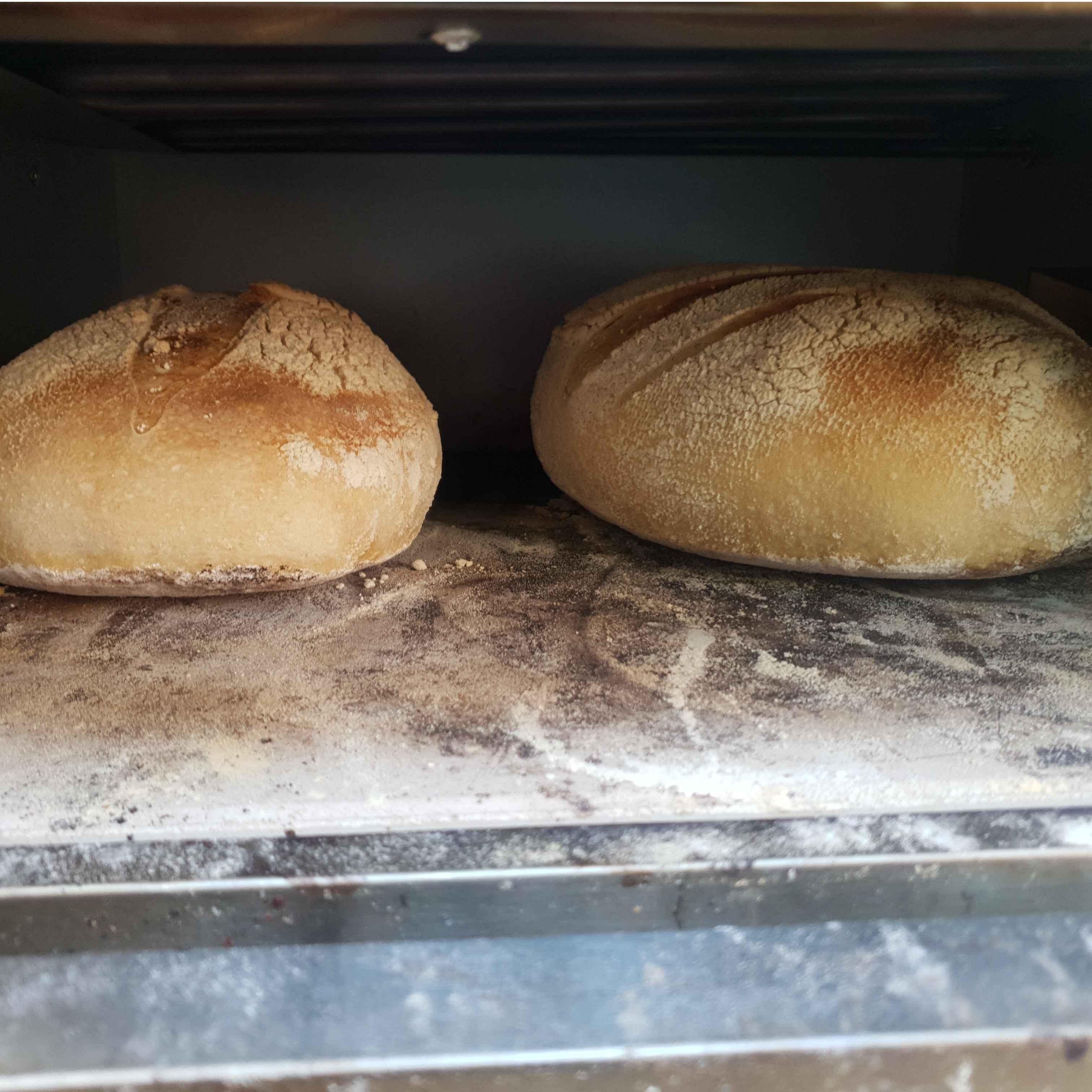 לחם מחמצת בהכנת יד ללא שמרים או חומרים משמרים